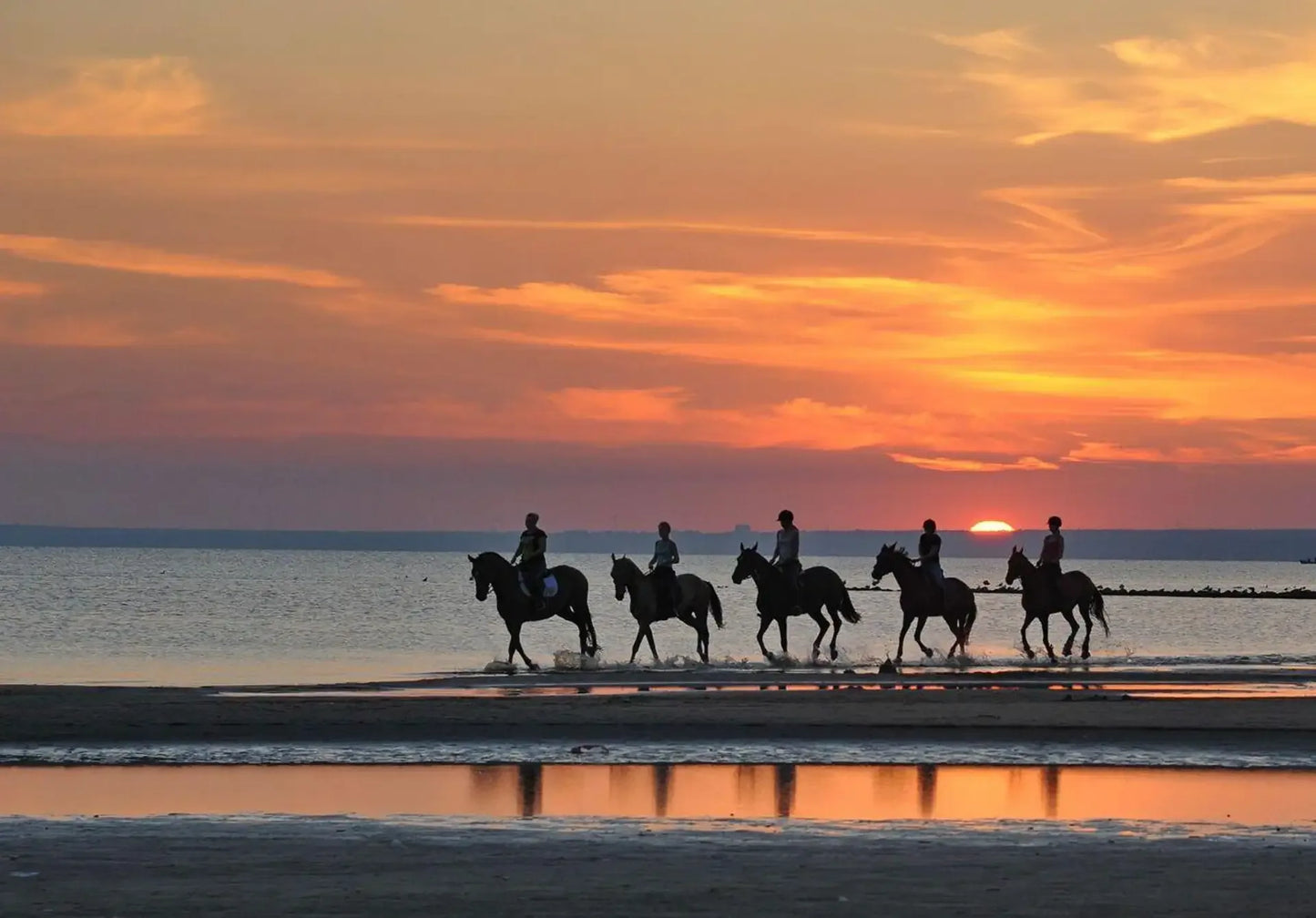 From Agadir or Taghazout: Beach Horseback Ride