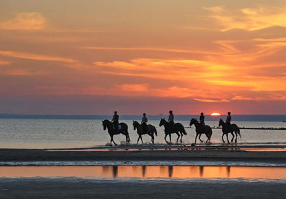 From Agadir or Taghazout: Beach Horseback Ride