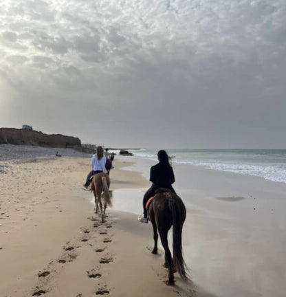 From Agadir or Taghazout: Beach Horseback Ride