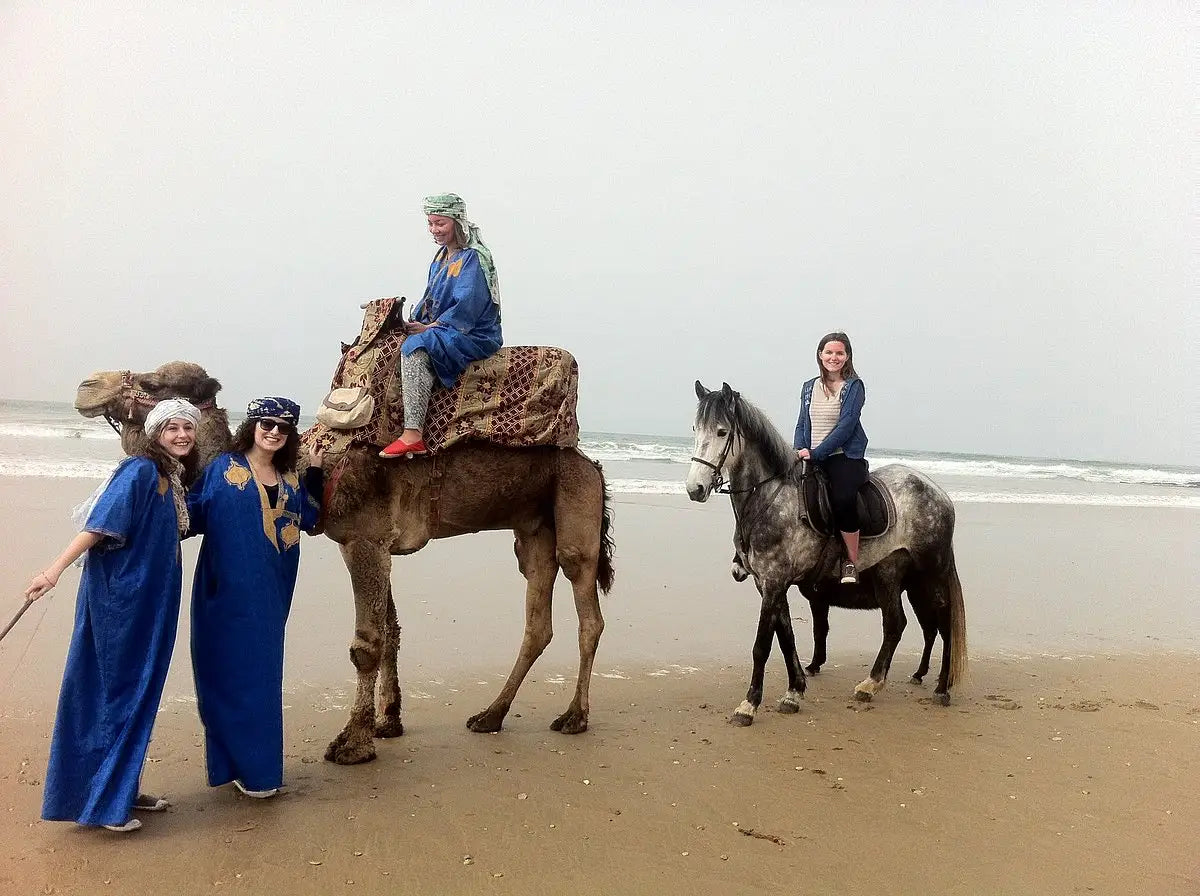 From Agadir or Taghazout: Beach Horseback Ride