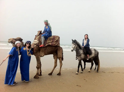 From Agadir or Taghazout: Beach Horseback Ride