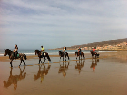 From Agadir or Taghazout: Beach Horseback Ride