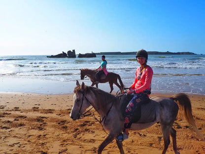 From Agadir or Taghazout: Beach Horseback Ride