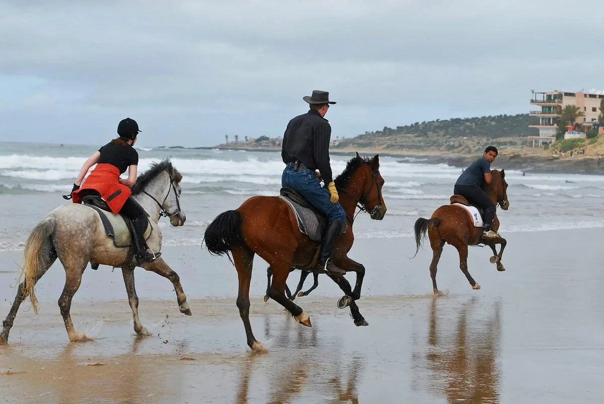 From Agadir or Taghazout: Beach Horseback Ride