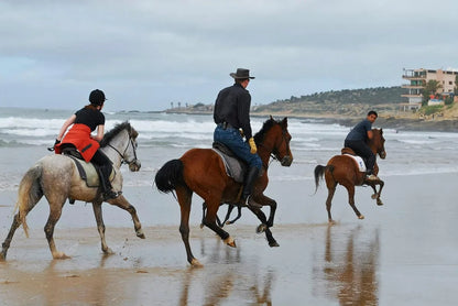 From Agadir or Taghazout: Beach Horseback Ride