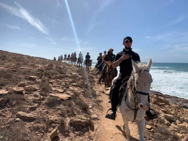 From Agadir or Taghazout: Beach Horseback Ride