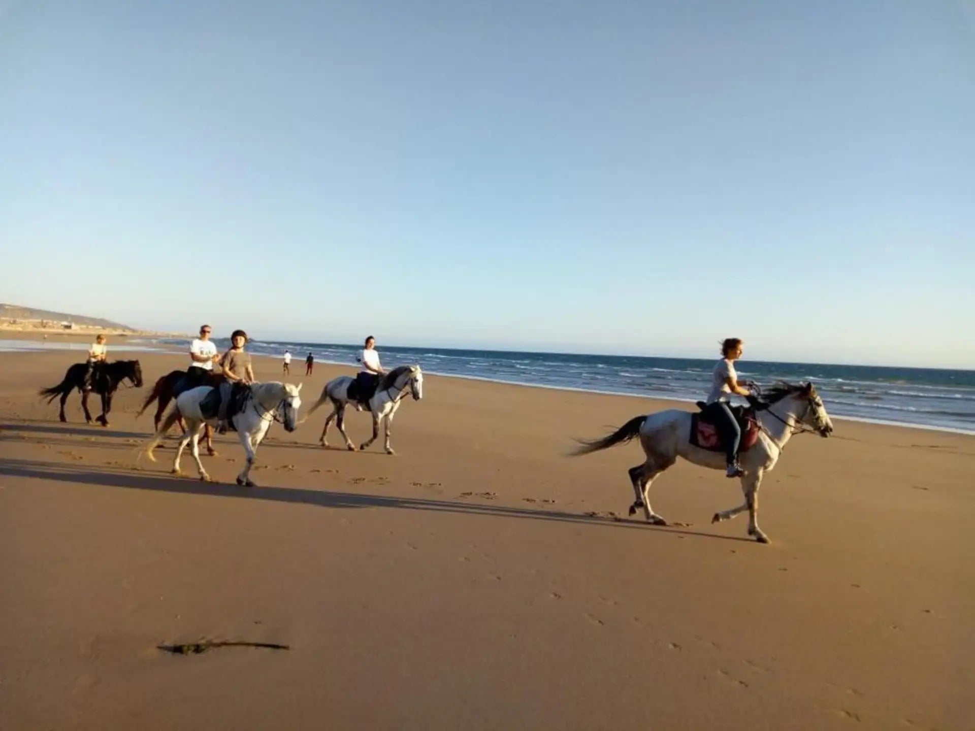 Enjoy a Horse Ride Along Aourir Beach