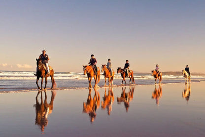 From Agadir or Taghazout: Beach Horseback Ride