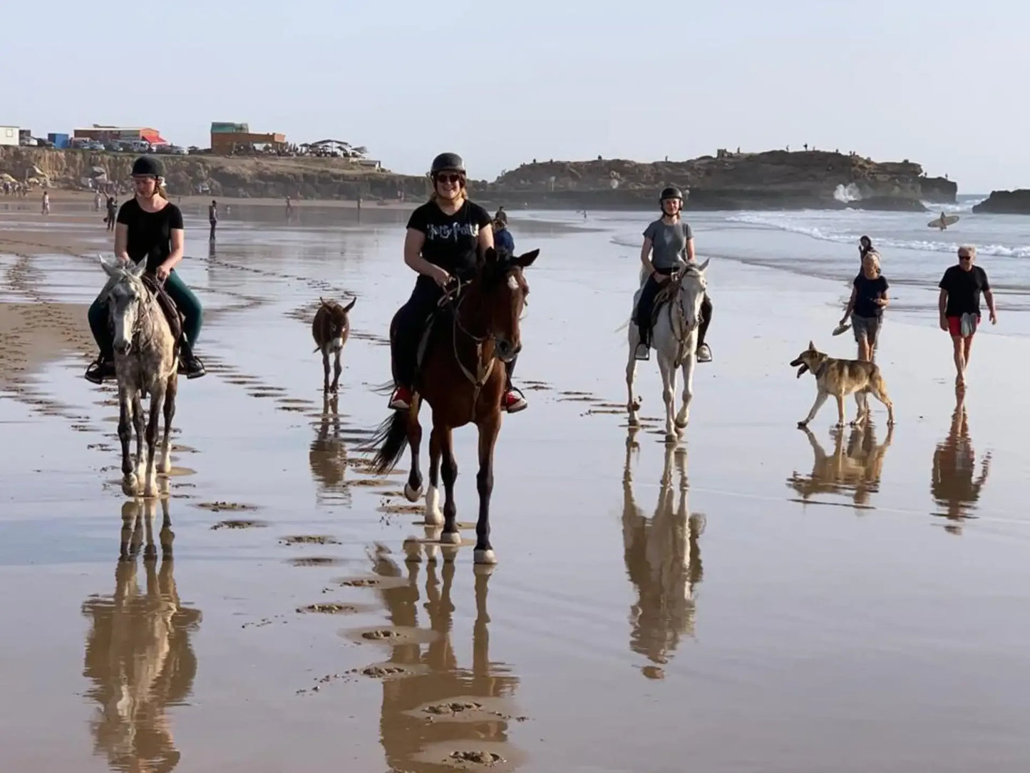 From Agadir or Taghazout: Beach Horseback Ride