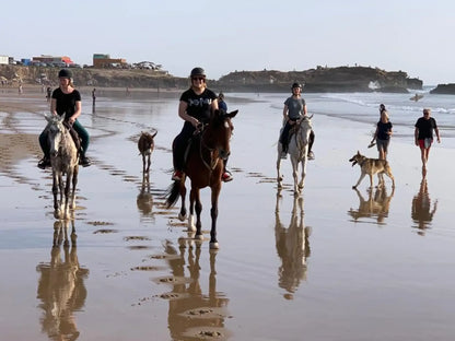 From Agadir or Taghazout: Beach Horseback Ride