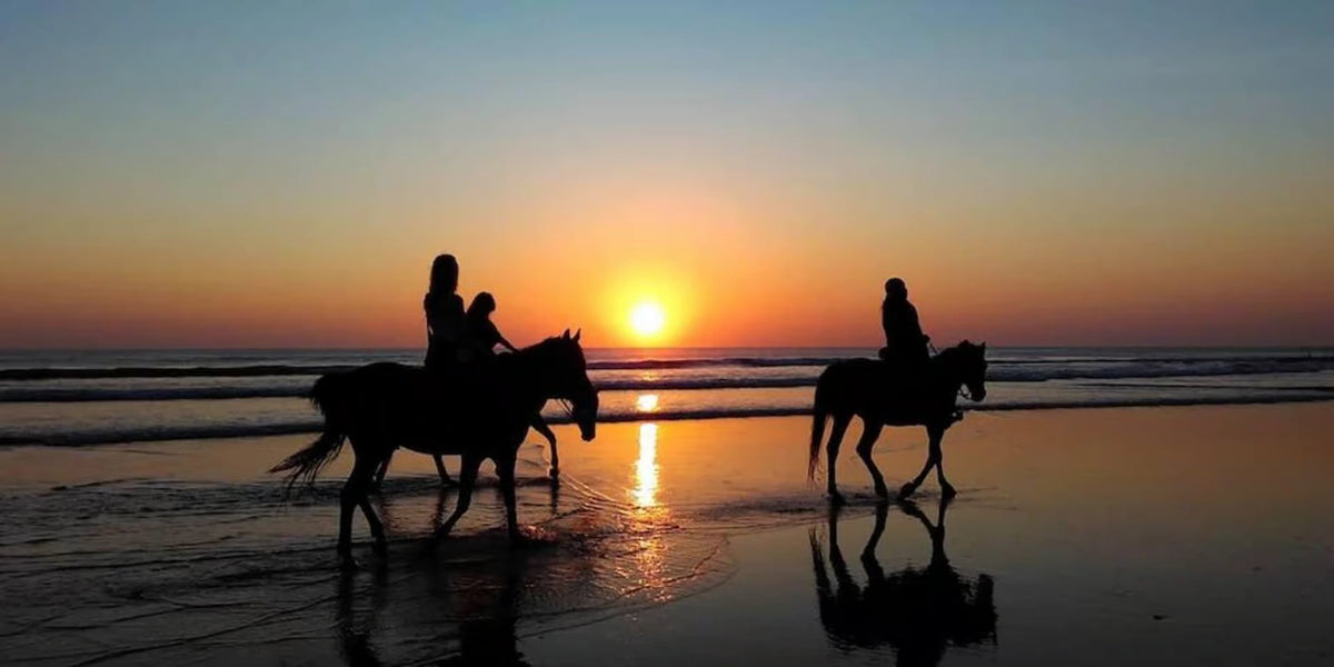 From Agadir or Taghazout: Beach Horseback Ride