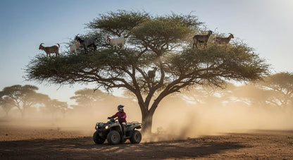 From Agadir or Taghazout: Quad Biking Tour with Moroccan Tea