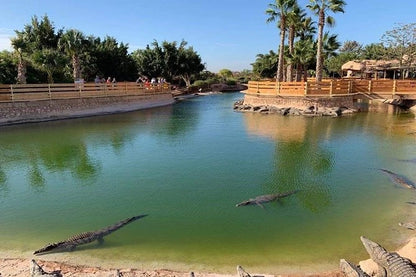 From Agadir or Taghazout: Quad Biking Tour with Moroccan Tea