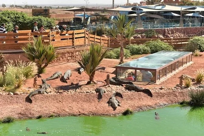 From Agadir or Taghazout: Quad Biking Tour with Moroccan Tea