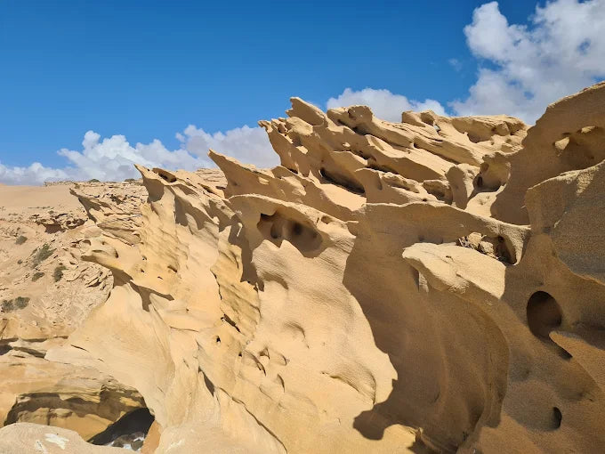 From Agadir o Taghazout: tour de sandboard en las dunas de Timlalin con paseo en camello opcional