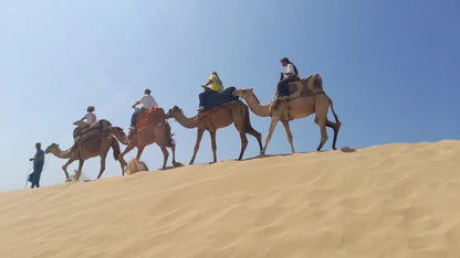 From Agadir o Taghazout: tour de sandboard en las dunas de Timlalin con paseo en camello opcional