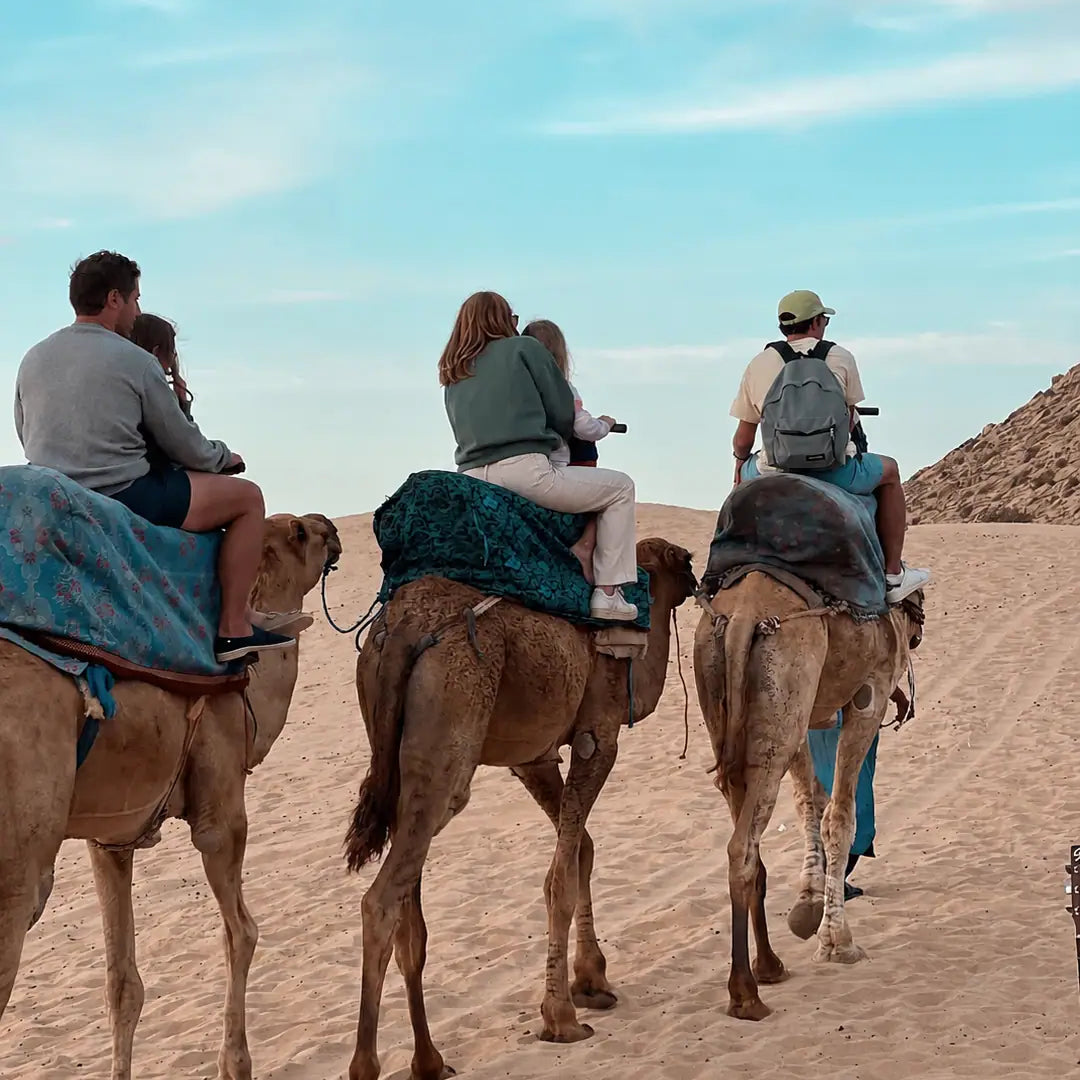 From Agadir o Taghazout: tour de sandboard en las dunas de Timlalin con paseo en camello opcional