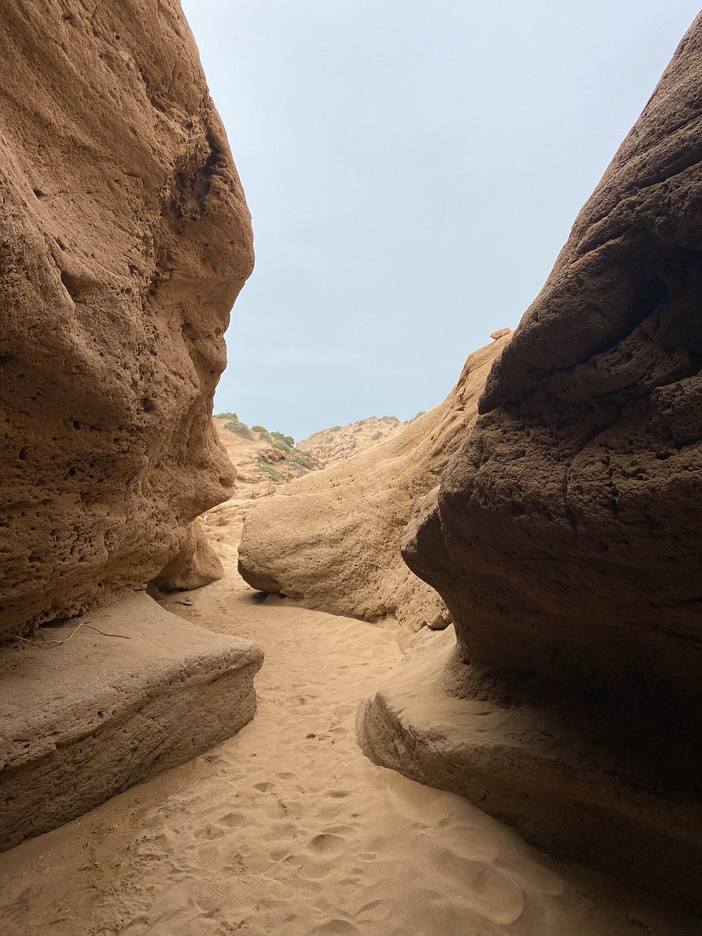 From Agadir o Taghazout: tour de sandboard en las dunas de Timlalin con paseo en camello opcional