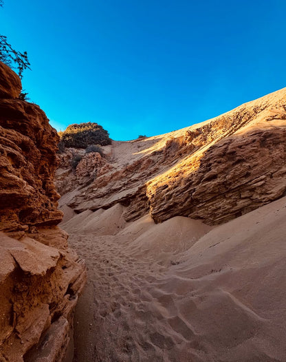 From Agadir o Taghazout: tour de sandboard en las dunas de Timlalin con paseo en camello opcional