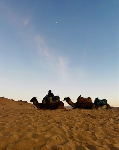 From Agadir o Taghazout: tour de sandboard en las dunas de Timlalin con paseo en camello opcional