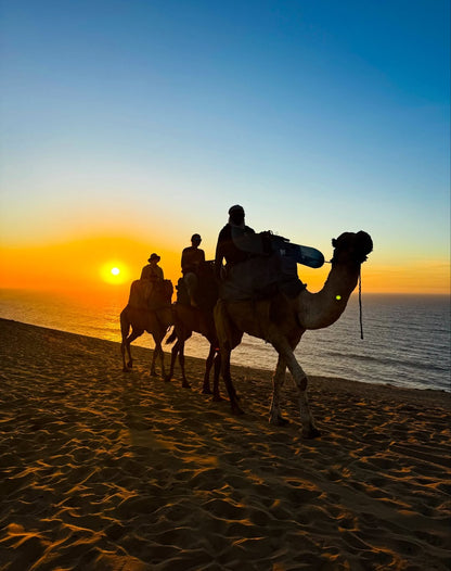 From Agadir o Taghazout: tour de sandboard en las dunas de Timlalin con paseo en camello opcional