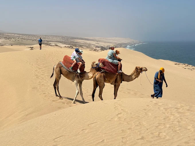 From Agadir o Taghazout: tour de sandboard en las dunas de Timlalin con paseo en camello opcional