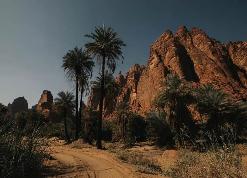 Dari AlUla: Tur Alam Sehari Penuh ke Ngarai Wadi Dissah dengan Makan Siang