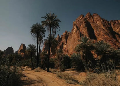 Dari AlUla: Tur Alam Sehari Penuh ke Ngarai Wadi Dissah dengan Makan Siang