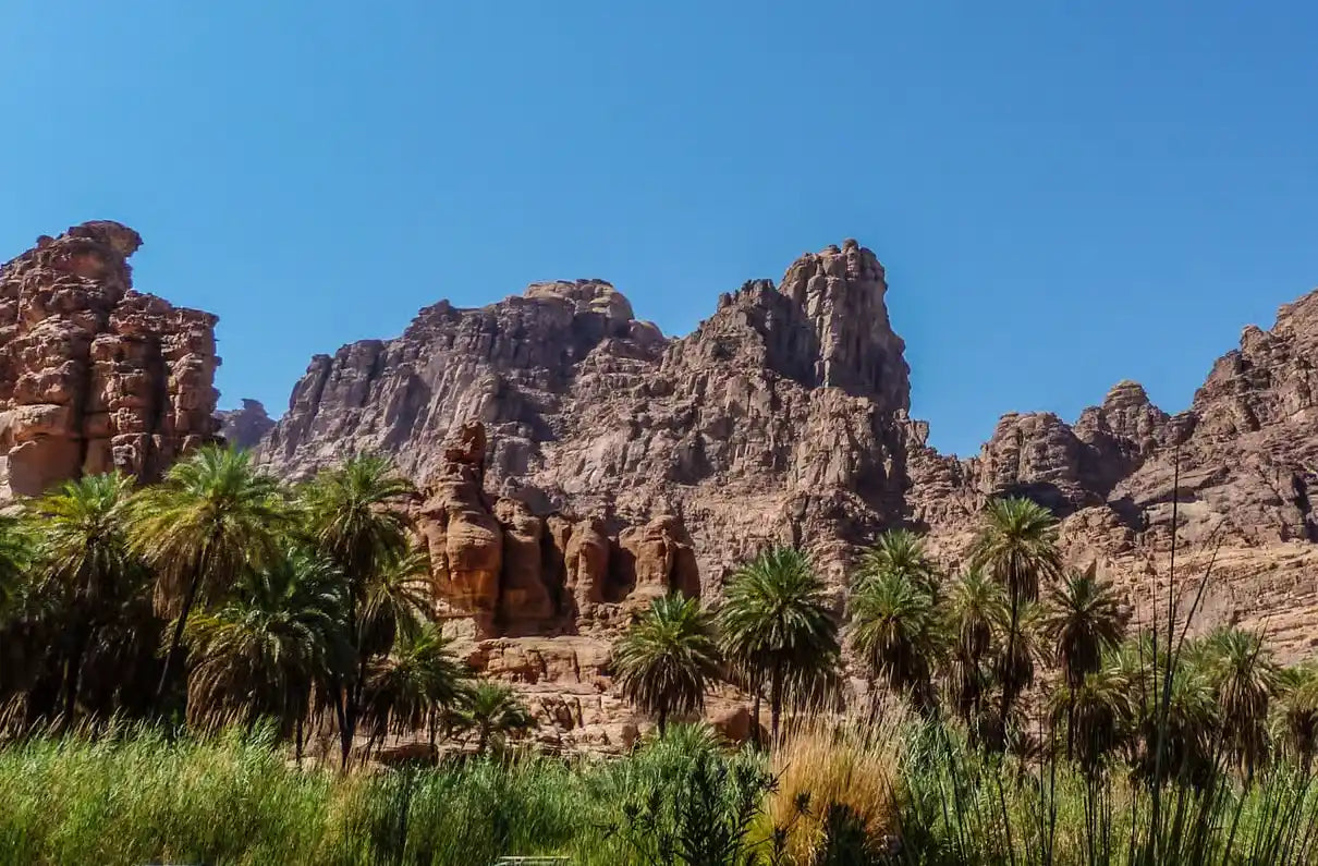 Dari AlUla: Tur Alam Sehari Penuh ke Ngarai Wadi Dissah dengan Makan Siang
