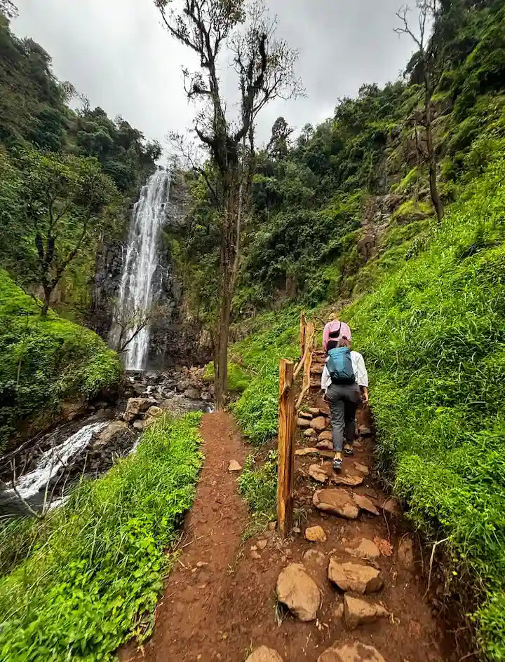 From Arusha: Cachoeira Materuni, tour do café com almoço (passeio de meio dia)