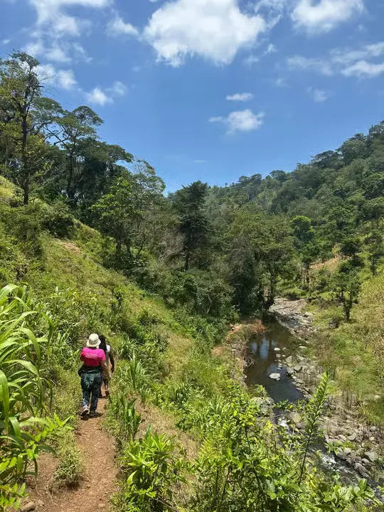 From Arusha: Cachoeira Materuni, tour do café com almoço (passeio de meio dia)