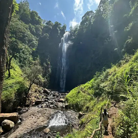 From Arusha: Cachoeira Materuni, tour do café com almoço (passeio de meio dia)