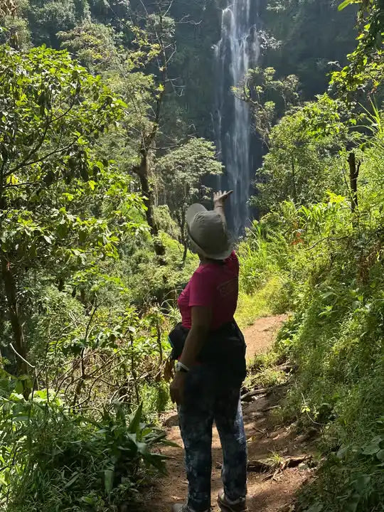 From Arusha: Cachoeira Materuni, tour do café com almoço (passeio de meio dia)