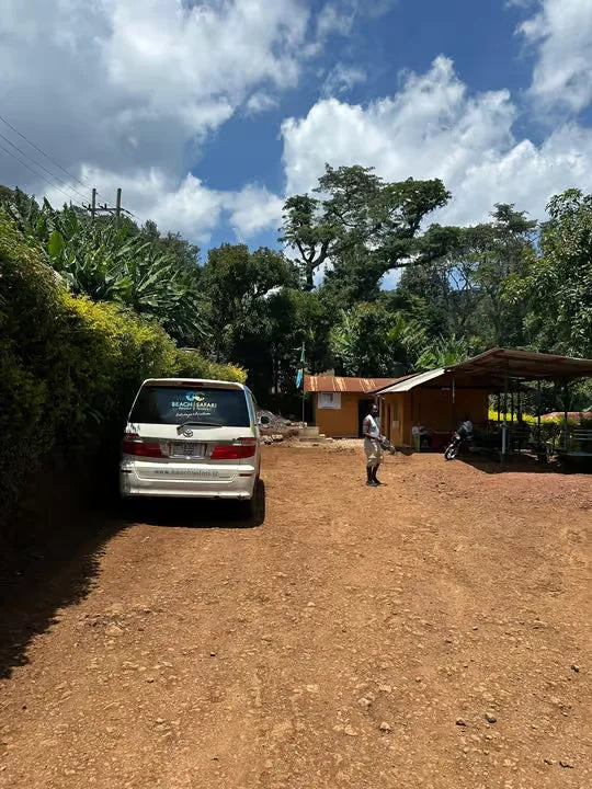From Arusha: Cachoeira Materuni, tour do café com almoço (passeio de meio dia)