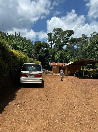 From Arusha: Cachoeira Materuni, tour do café com almoço (passeio de meio dia)