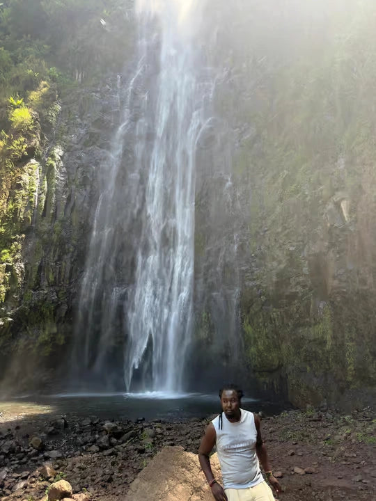 From Arusha: Cachoeira Materuni, tour do café com almoço (passeio de meio dia)