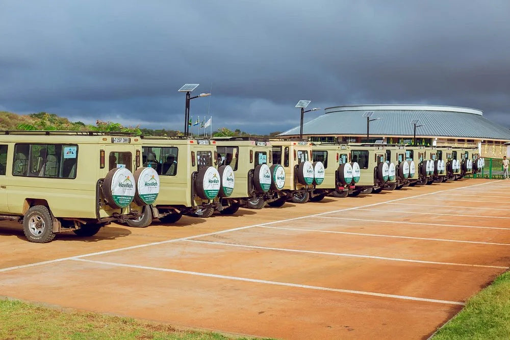 From Arusha: Excursão de safari compartilhada de um dia à Cratera de Ngorongoro com almoço