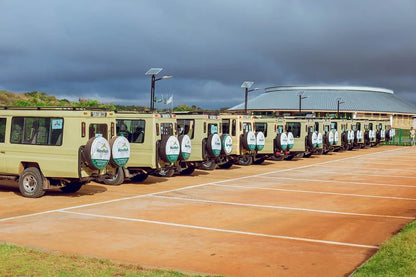 From Arusha: Excursão de safari compartilhada de um dia à Cratera de Ngorongoro com almoço