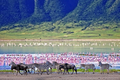 From Arusha: Excursão de safari compartilhada de um dia à Cratera de Ngorongoro com almoço