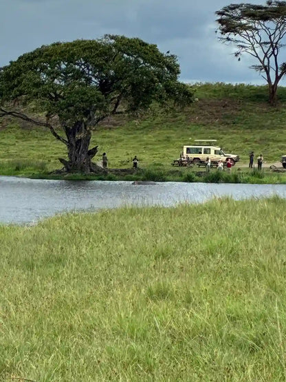 From Arusha: Excursão de safari compartilhada de um dia à Cratera de Ngorongoro com almoço
