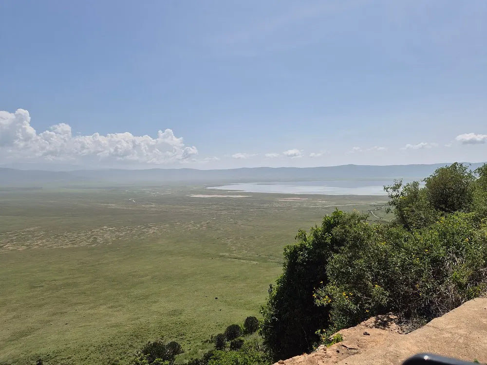From Arusha: Excursão de safari compartilhada de um dia à Cratera de Ngorongoro com almoço