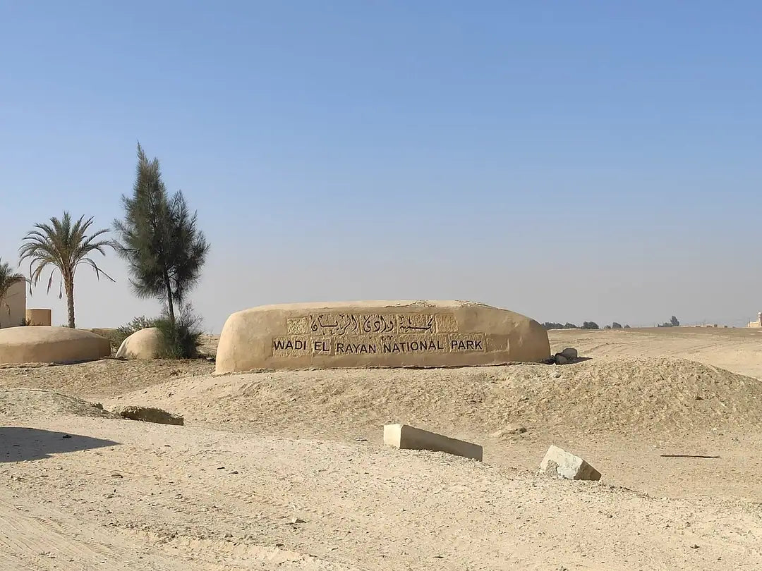 De Cairo: Excursão Particular Guiada de um Dia ao Oásis de Fayoum com Safari no Deserto