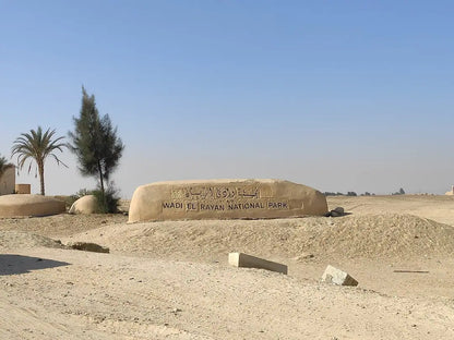 De Cairo: Excursão Particular Guiada de um Dia ao Oásis de Fayoum com Safari no Deserto