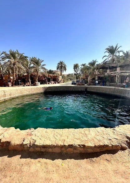 De Cairo: Excursão Particular Guiada de um Dia ao Oásis de Fayoum com Safari no Deserto