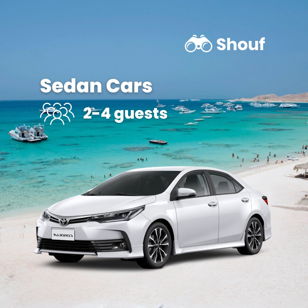 Vanuit Caïro: Privéauto- of busverhuur met chauffeur naar Sahl Hasheesh