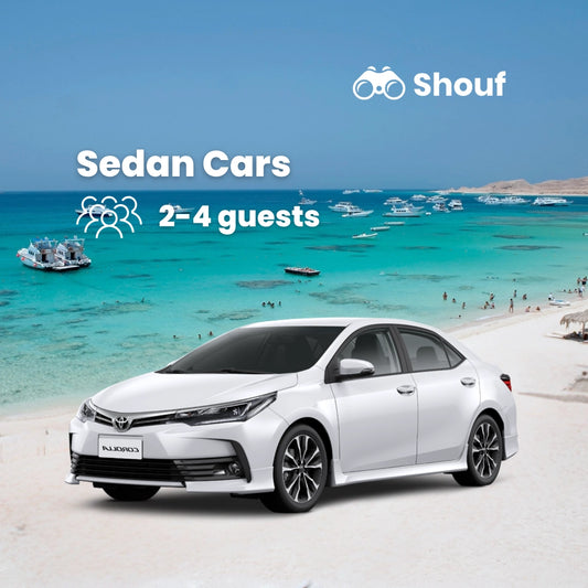 Vanuit Caïro: Privéauto- of busverhuur met chauffeur naar Sahl Hasheesh