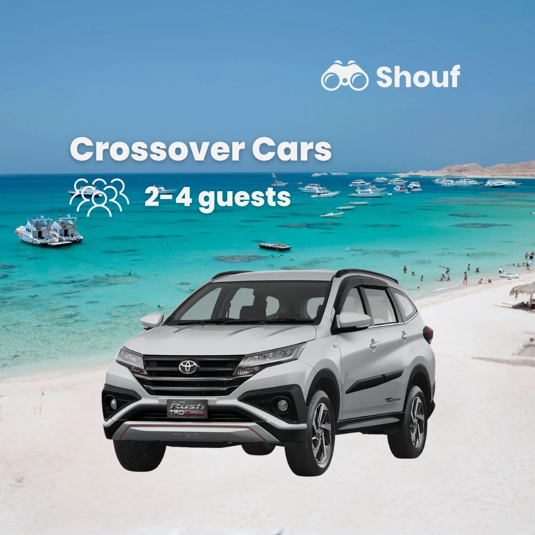 Vanuit Caïro: Privéauto- of busverhuur met chauffeur naar Sahl Hasheesh