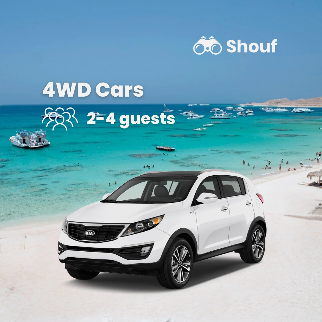 Vanuit Caïro: Privéauto- of busverhuur met chauffeur naar Sahl Hasheesh