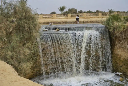 De Cairo: Excursão Particular Guiada de um Dia ao Oásis de Fayoum com Safari no Deserto