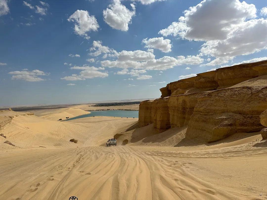 De Cairo: Excursão Particular Guiada de um Dia ao Oásis de Fayoum com Safari no Deserto